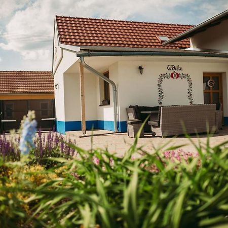 Apartman U Draba: Ubytovani Na Slovacku V Miloticich U Kyjova Milotice Εξωτερικό φωτογραφία