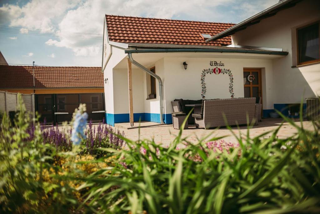 Apartman U Draba: Ubytovani Na Slovacku V Miloticich U Kyjova Milotice Εξωτερικό φωτογραφία