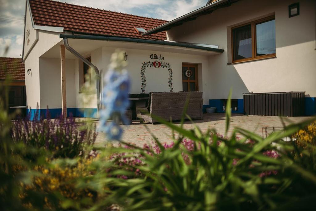 Apartman U Draba: Ubytovani Na Slovacku V Miloticich U Kyjova Milotice Εξωτερικό φωτογραφία